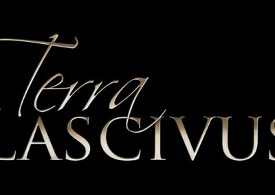 Logo for a Virtual World Community Sim